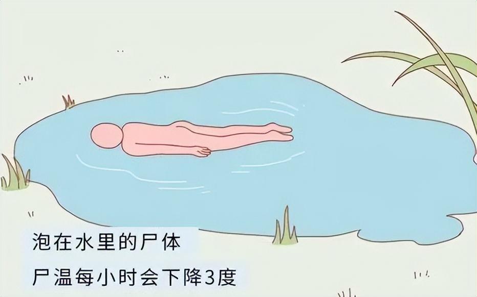 请问世界上有上尸吗-上尸是否存在？科学与超自然的碰撞，引发人们的思考