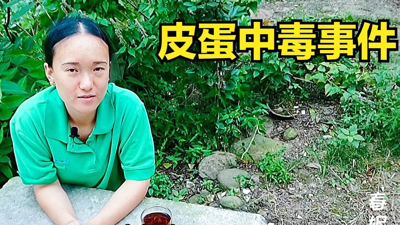 正者无敌春妮个人资料_者无敌系列哪部好看_信者无敌中春儿的最终结局