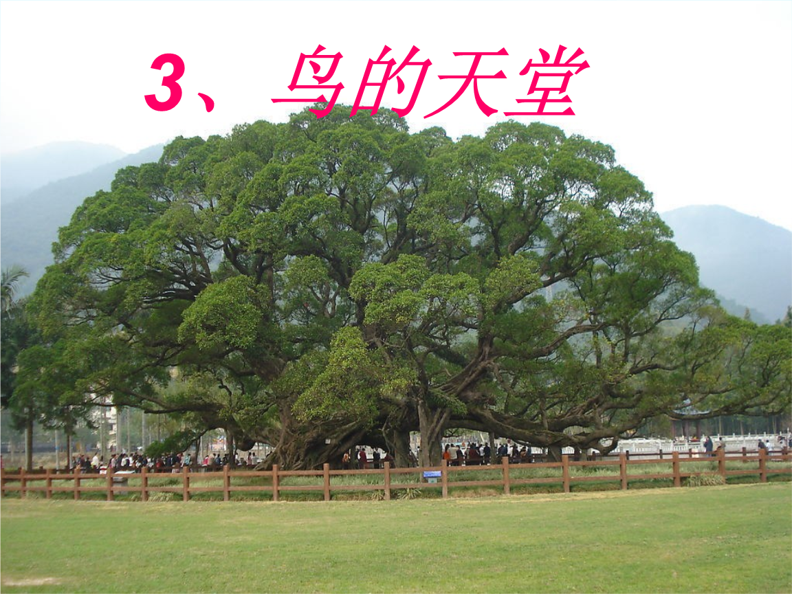 鸟炸天辅助注册码_2020鸟炸天辅助官网_鸟炸天辅助官网