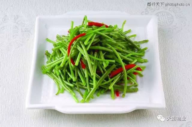 冰与火之歌 第五季 未删减-冰与火之歌第五季未删减版：揭开神秘面纱，体验更多真实与震撼