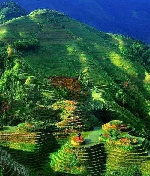 心灵游戏智力法师-心灵游戏：智力法师的情感之旅，用情绪力量解开灵魂之结
