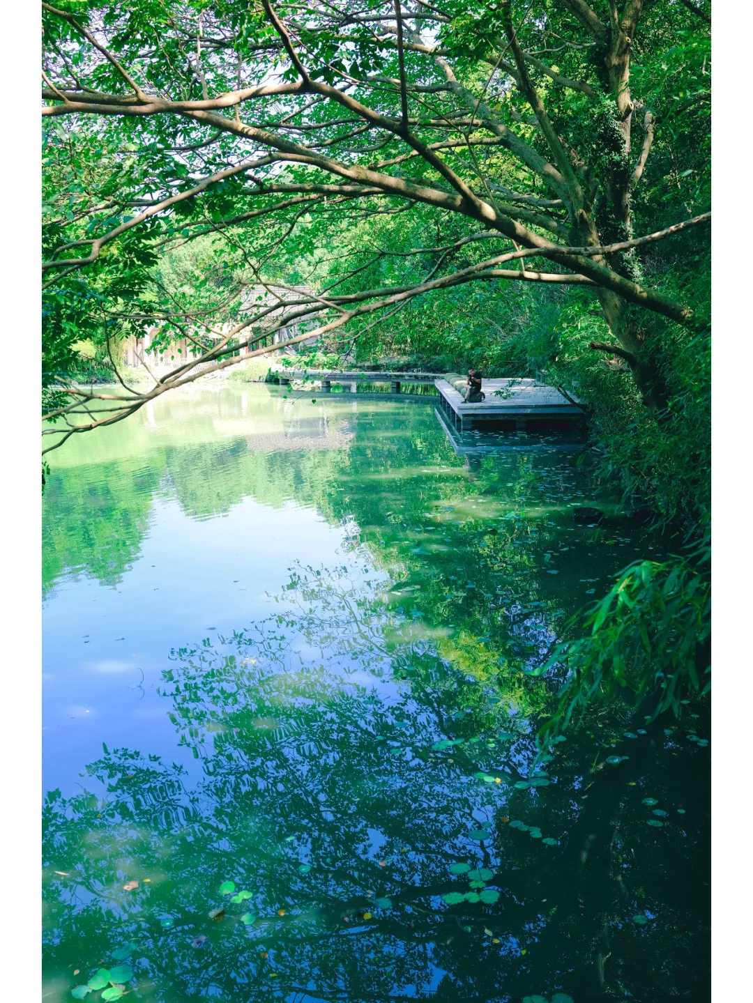 法治进行时拖拉机视频_继续播放拖拉机视频_拖拉机整治