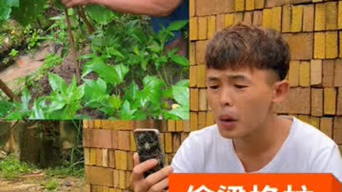 lol36计偷梁换柱_偷梁换柱头奇技是什么生肖_偷梁换柱是第几计