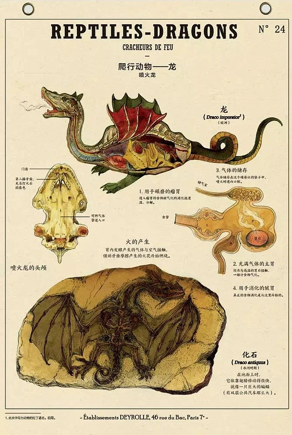 御龙战记全图鉴：龙族宝典，收录所有龙，隐藏龙与秘密任务等你来解锁
