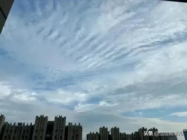 初音岛游戏结局_结局游戏通关攻略_游戏《结局》攻略