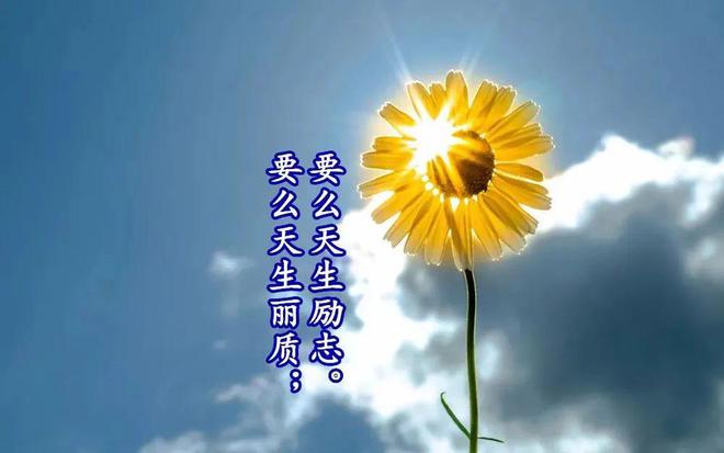 我不知道在天赋有种是智慧500和体力50优点缺点-智慧 500 与体力 50 的天赋差异及各自的烦恼