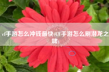 cf手游龙啸碎片一天能刷几个-CF 手游龙啸碎片：挑战模式的痛并快乐，你刷到了吗？