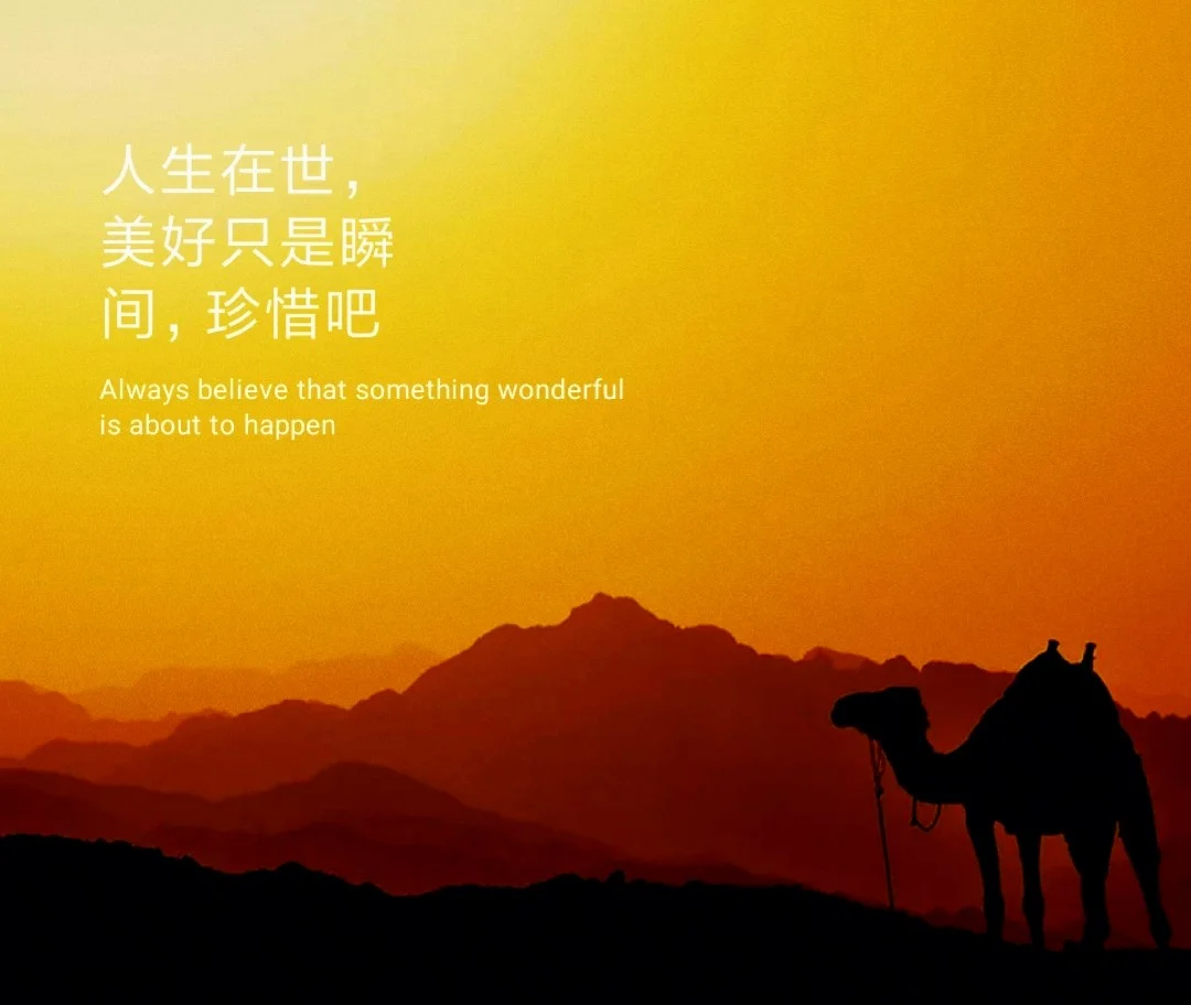 巨人的皮肤_超大型巨人没有皮肤_巨人特效