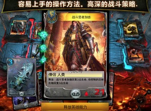 混沌与秩序 对决,游戏简介