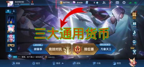 紫星币