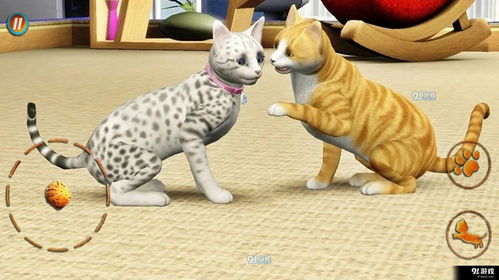 猫咪小游戏安卓版,欢乐无限