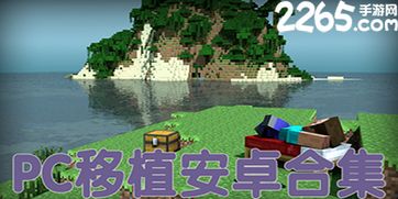 pc移植安卓解谜游戏,探索全新谜题世界