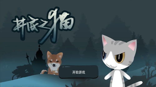 猫咪受伤游戏安卓版,拯救受伤小猫的温馨之旅