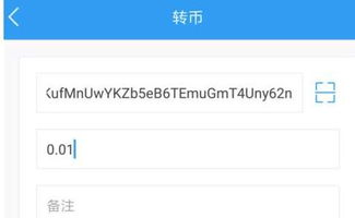 安卓付费策略游戏,深度解析盈利模式与玩家心理
