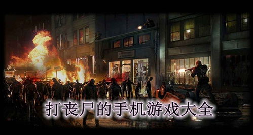 安卓打丧尸游戏大全,盘点热门丧尸题材手游大全