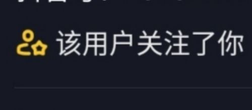 已关注